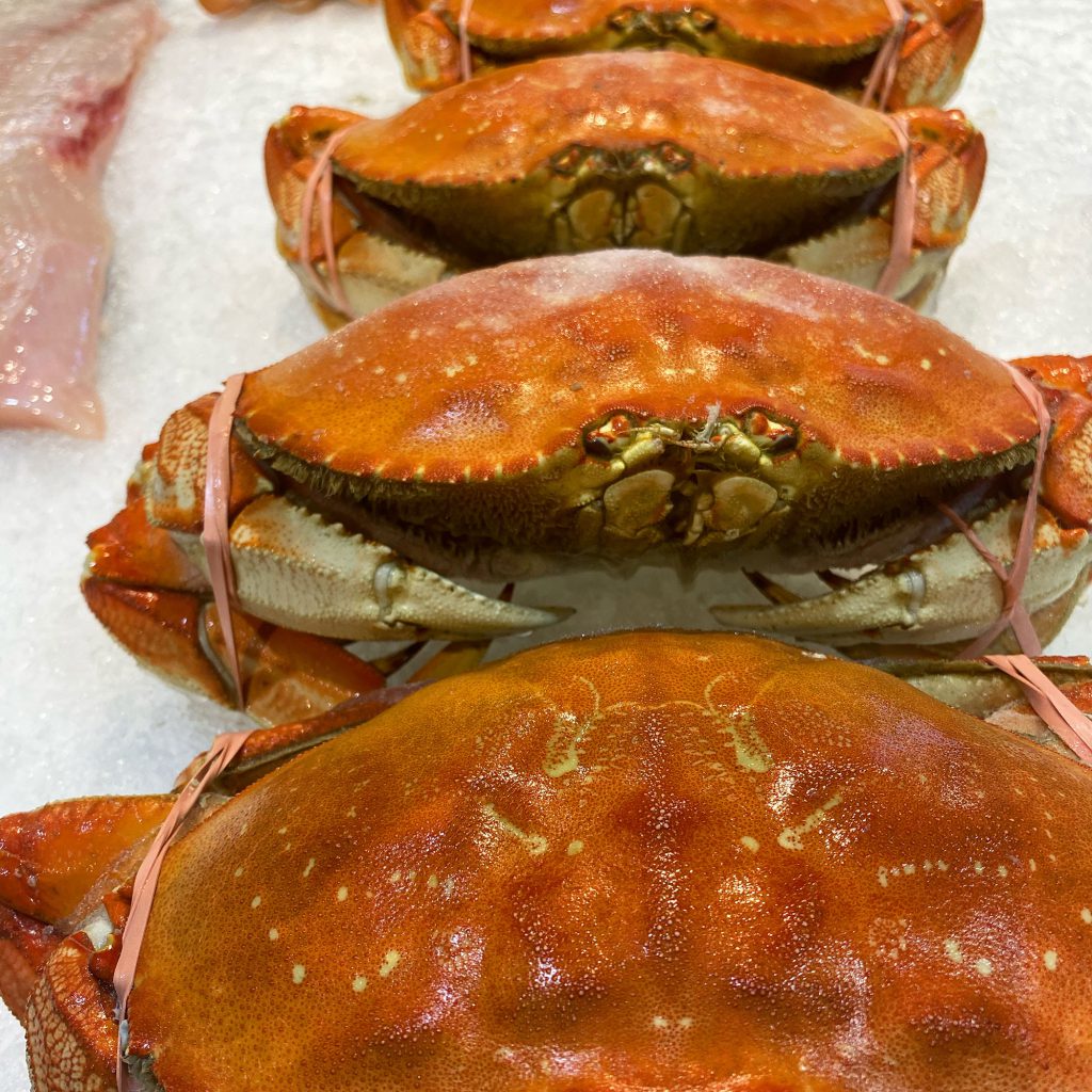 Fog River Seafood Elevated