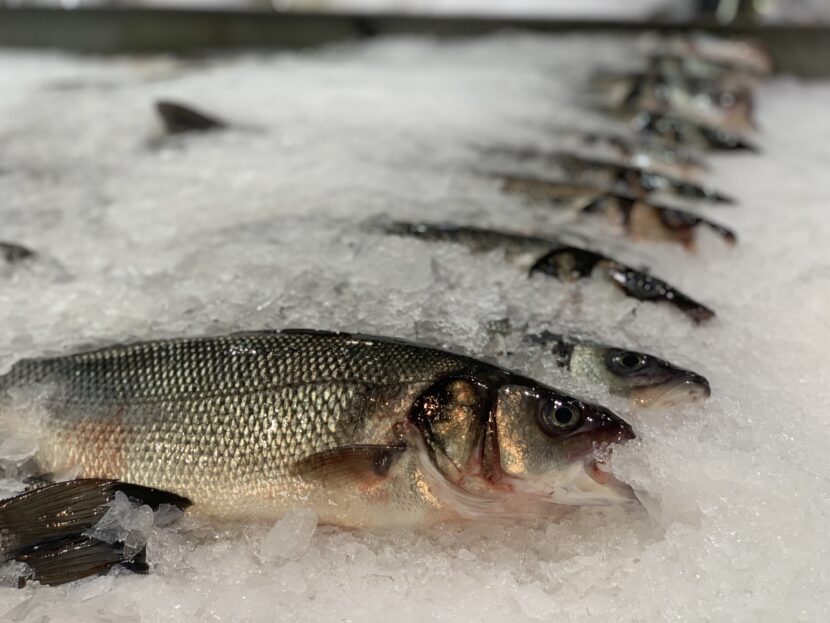 Branzino