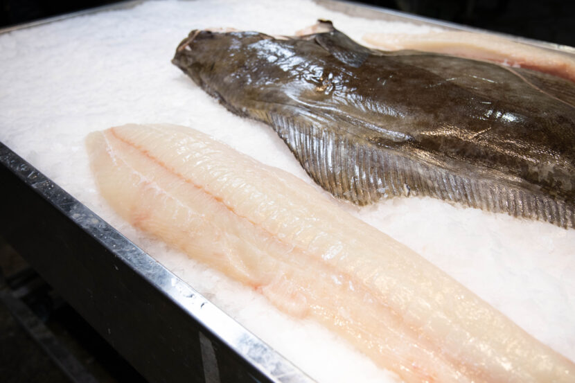 Halibut Fillet