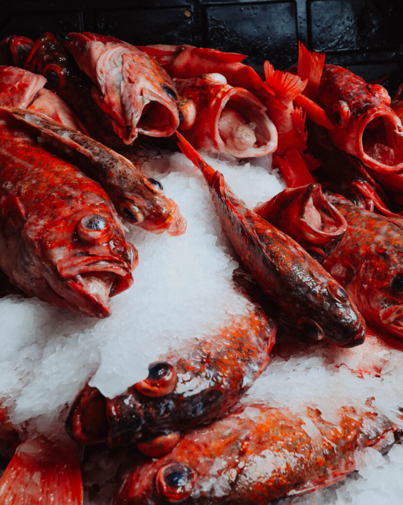 Rock Fish