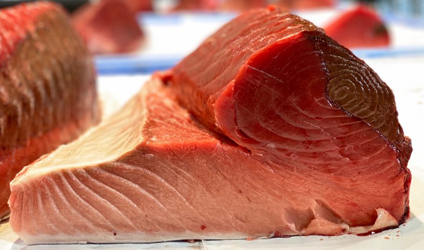 Blue Fin