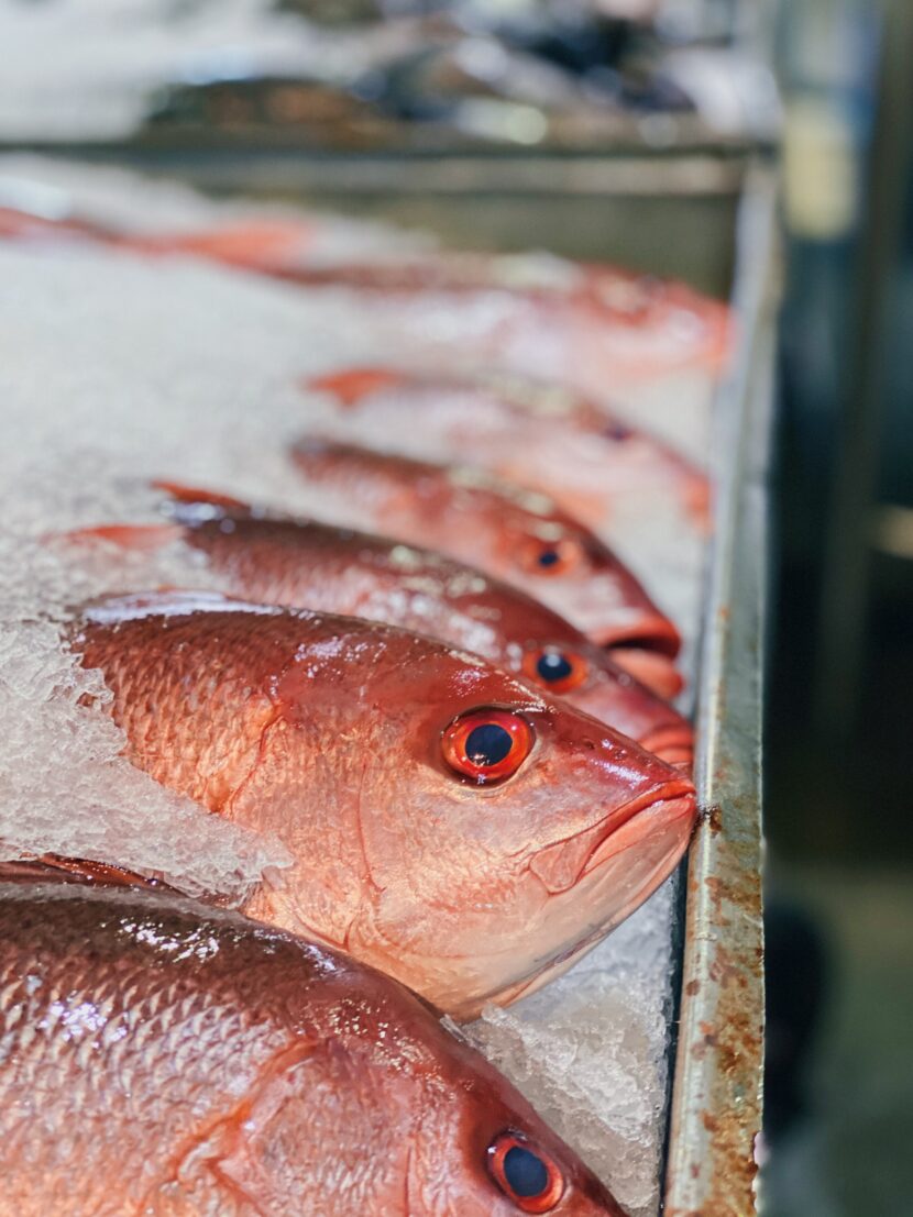 Mexican Snapper