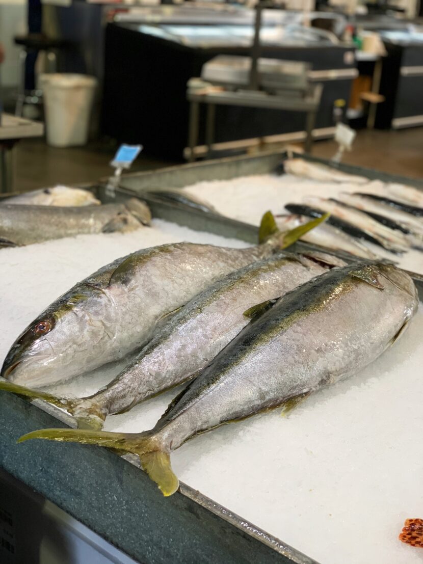 Mexican Yellowtail